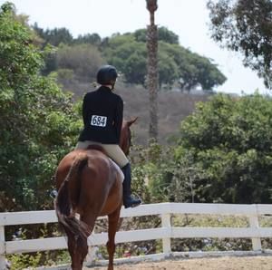 Meet your Posher, Teddy